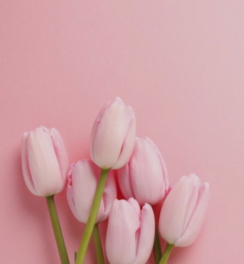 ご予約について♫