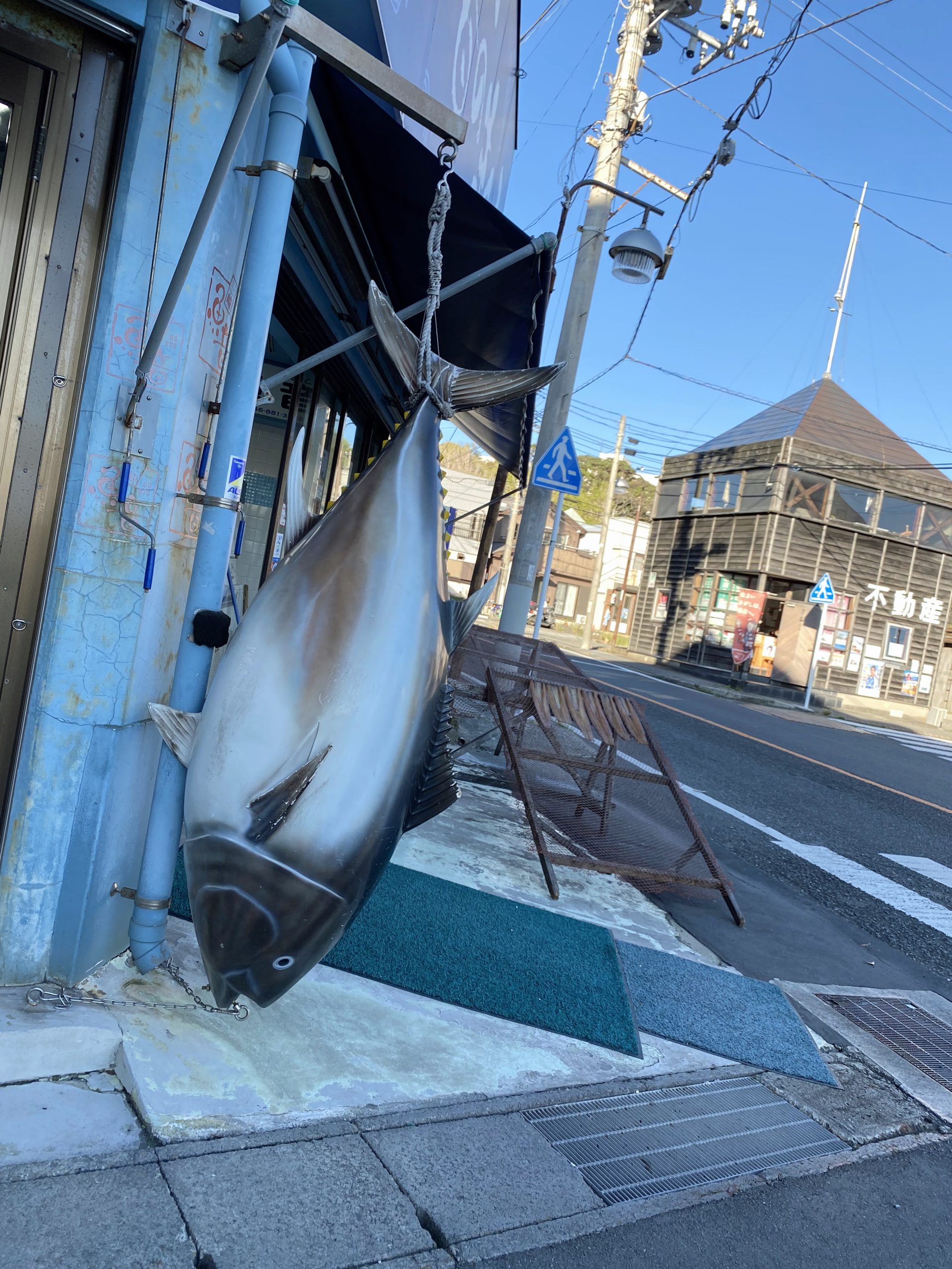 ラパンの休日♫〜みさきまぐろきっぷの巻〜