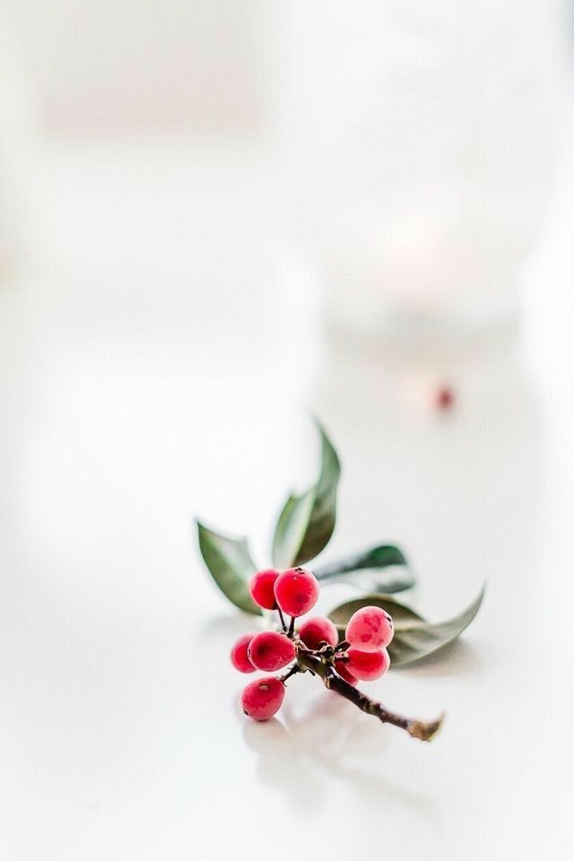 1月の定休日のお知らせ♫